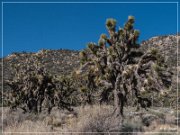 burns_canyon_rd_07