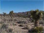 burns_canyon_rd_08