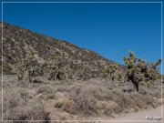 burns_canyon_rd_09