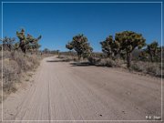 burns_canyon_rd_11