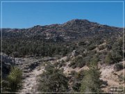 Burns Canyon Rd