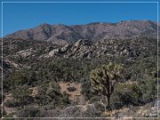 burns_canyon_rd_19