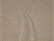 Racetrack