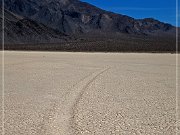 Racetrack