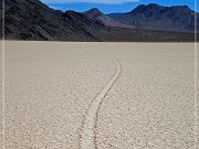 Racetrack