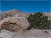 desert_view_tower_05