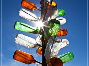 Elmer's Bottle Tree Ranch