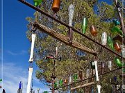 Elmer's Bottle Tree Ranch
