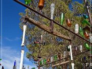 elmers_bottle_tree_ranch_14