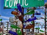 Elmer's Bottle Tree Ranch
