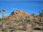 Joshua Tree NP