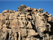 Joshua Tree NP