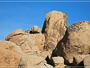 Joshua Tree NP