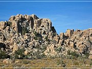Joshua Tree NP