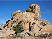Joshua Tree NP