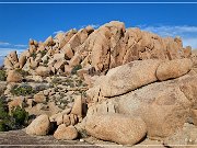 Jumbo Rocks