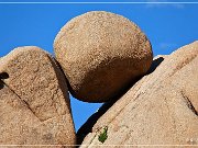 Jumbo Rocks
