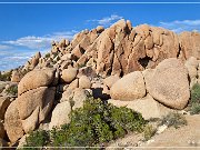 Jumbo Rocks