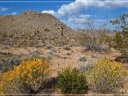 joshua_nw_entrance_07