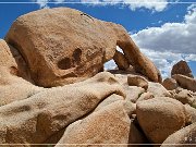 Arch Rock Nature Trail