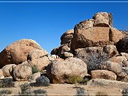 Barker Dam Natur Trail