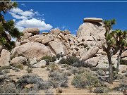 Cap Rock Natur Trail