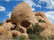 Skull Rock Trail