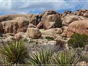 Split Rock Trail