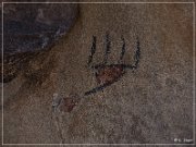 Disney Pictographs