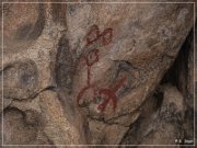 Disney Pictographs