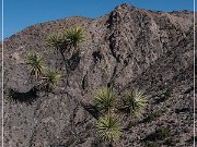 Keys View