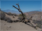 Keys View