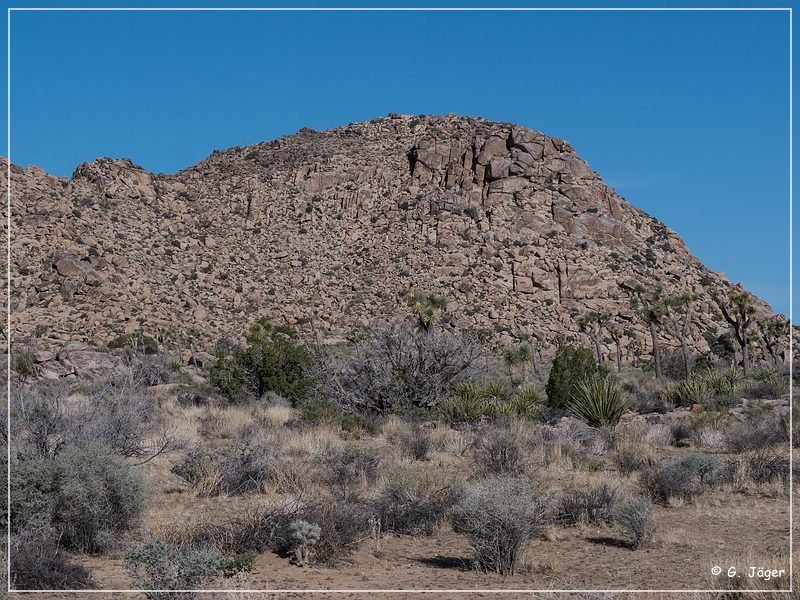 joshua tree np park blvd 02