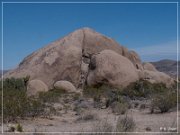 Joshua Tree NP