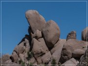 Joshua Tree NP