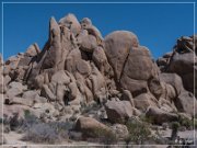 Joshua Tree NP