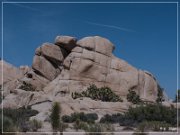 Joshua Tree NP