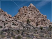 Joshua Tree NP