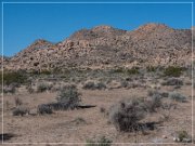 joshua_tree_np_park_blvd_01