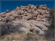 Red Lady Pictographs