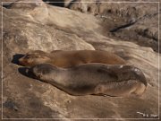 La Jolla Cove