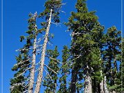 Lassen Volcanic NP