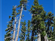 lassen_volcanic_np_10