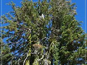 Lassen Volcanic NP