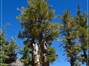 lassen_volcanic_np_16