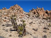 lucerne_valley_finger_rock_11