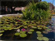 Mission San Juan Capistrano