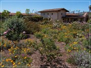 Mission San Juan Capistrano