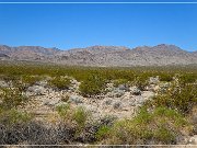 mojave_national_preserve_01