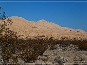 mojave_national_preserve_17